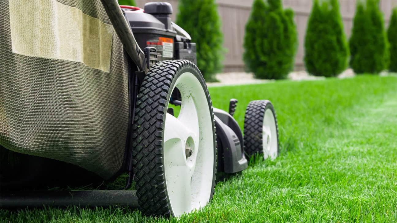 Lawn Services La Puente thumbnail
