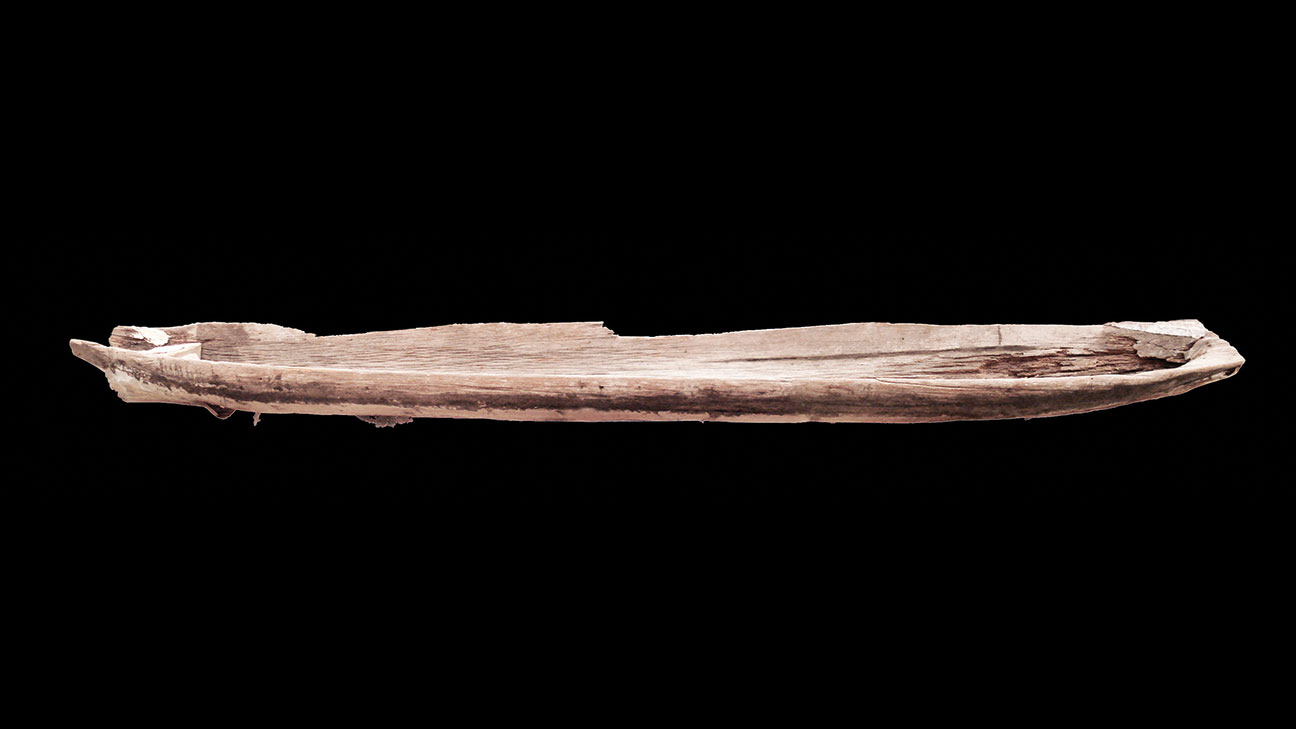 Bald Cypress Canoe