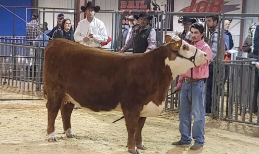 LeFlore County Premium Sale