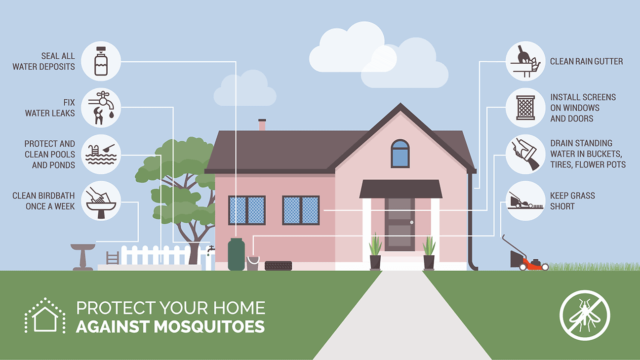 Protect your home against mosquitoes