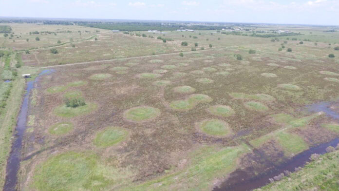 Aerial view of pimple mounds