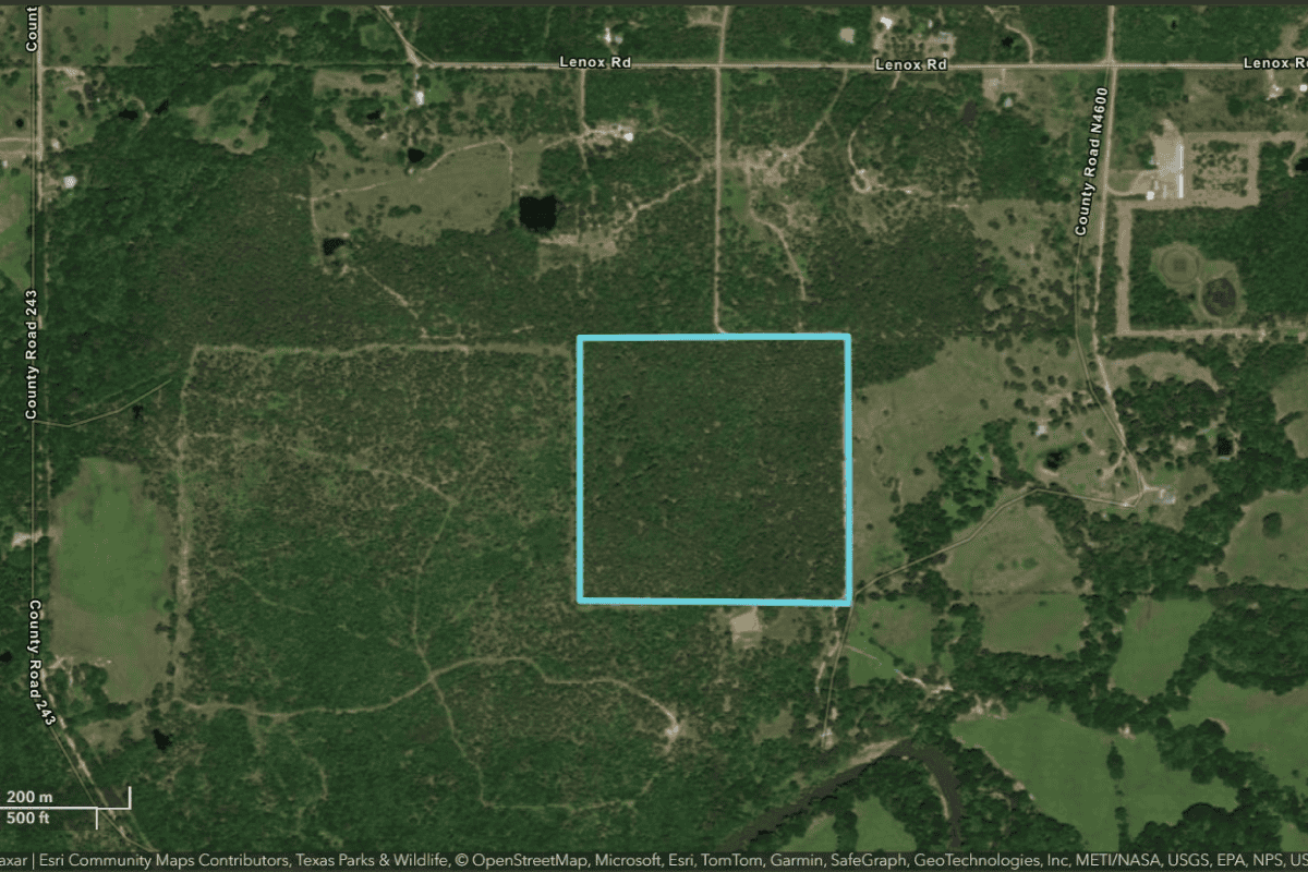 Grazing Land Lease Auction Form