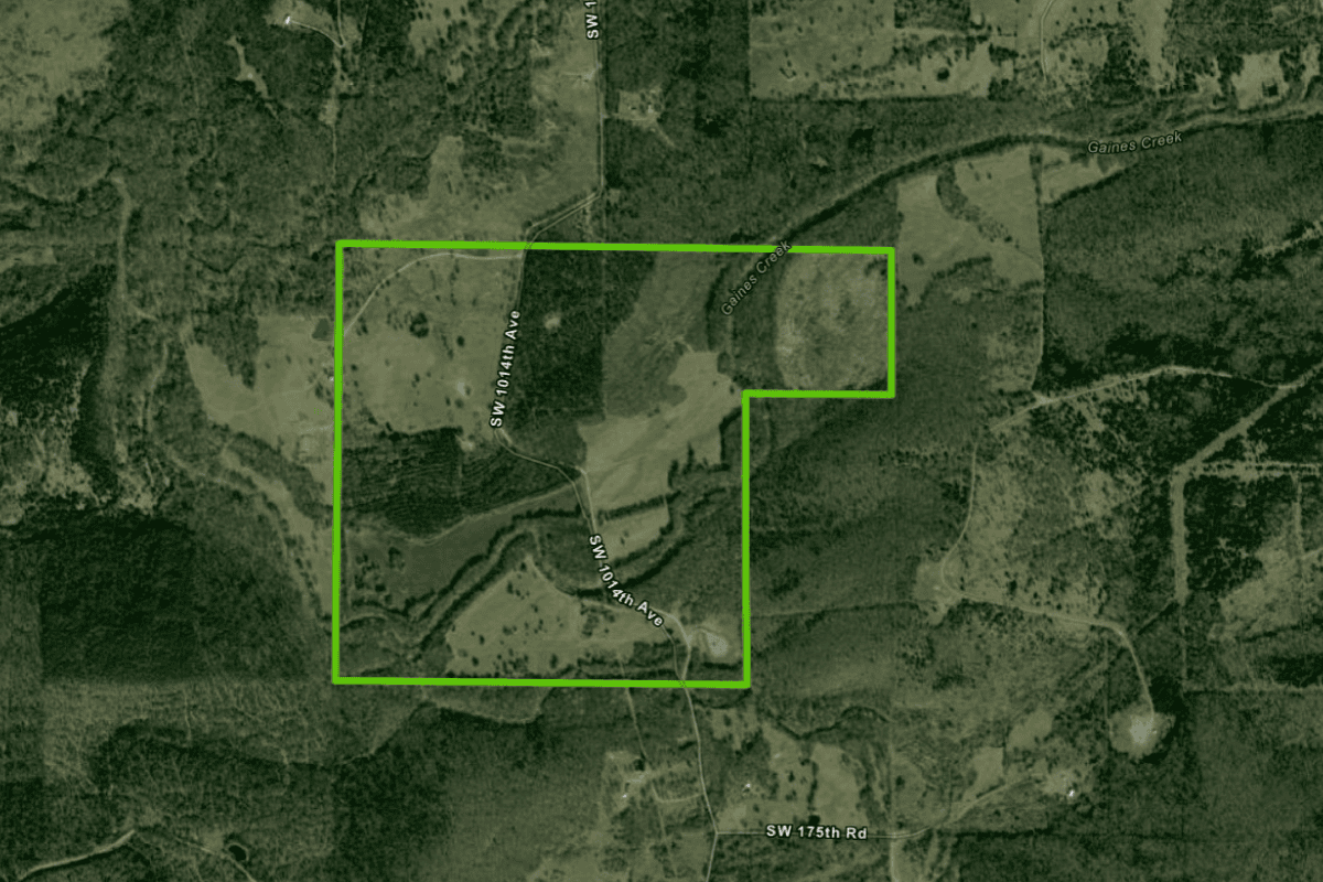 Grazing Land Lease Auction Form
