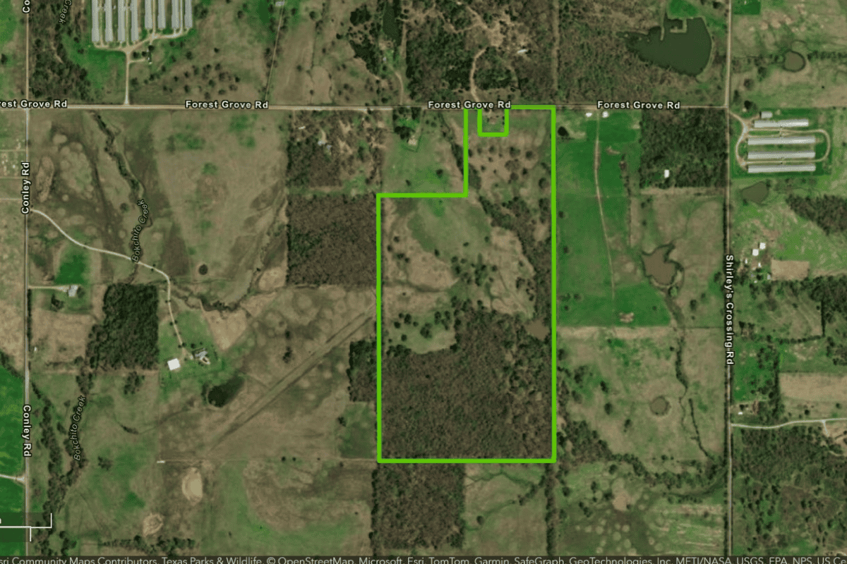 Grazing Land Lease Auction Form