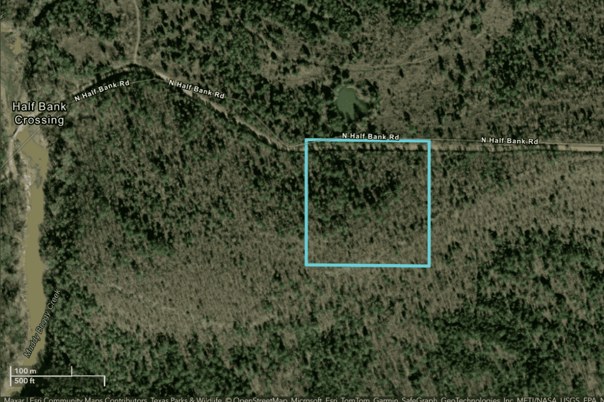 Grazing Land Lease Auction Form