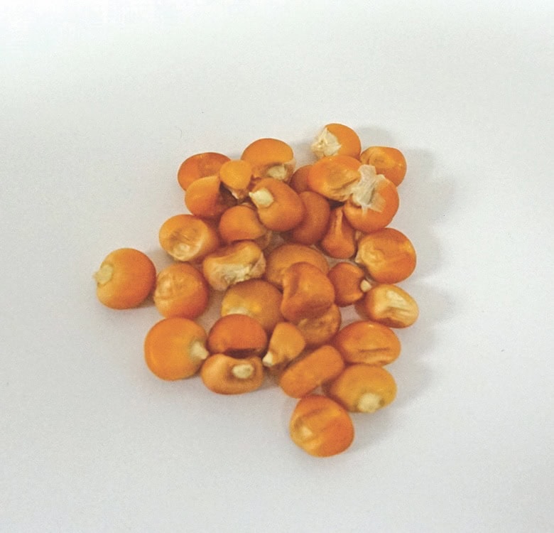Tanchi Hlimisho Kernels